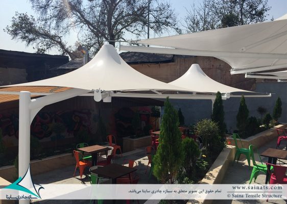 Chiter-chicken-fast-food-shade-8