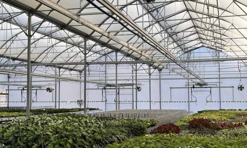 greenhouse-elescopic-retractable-roof